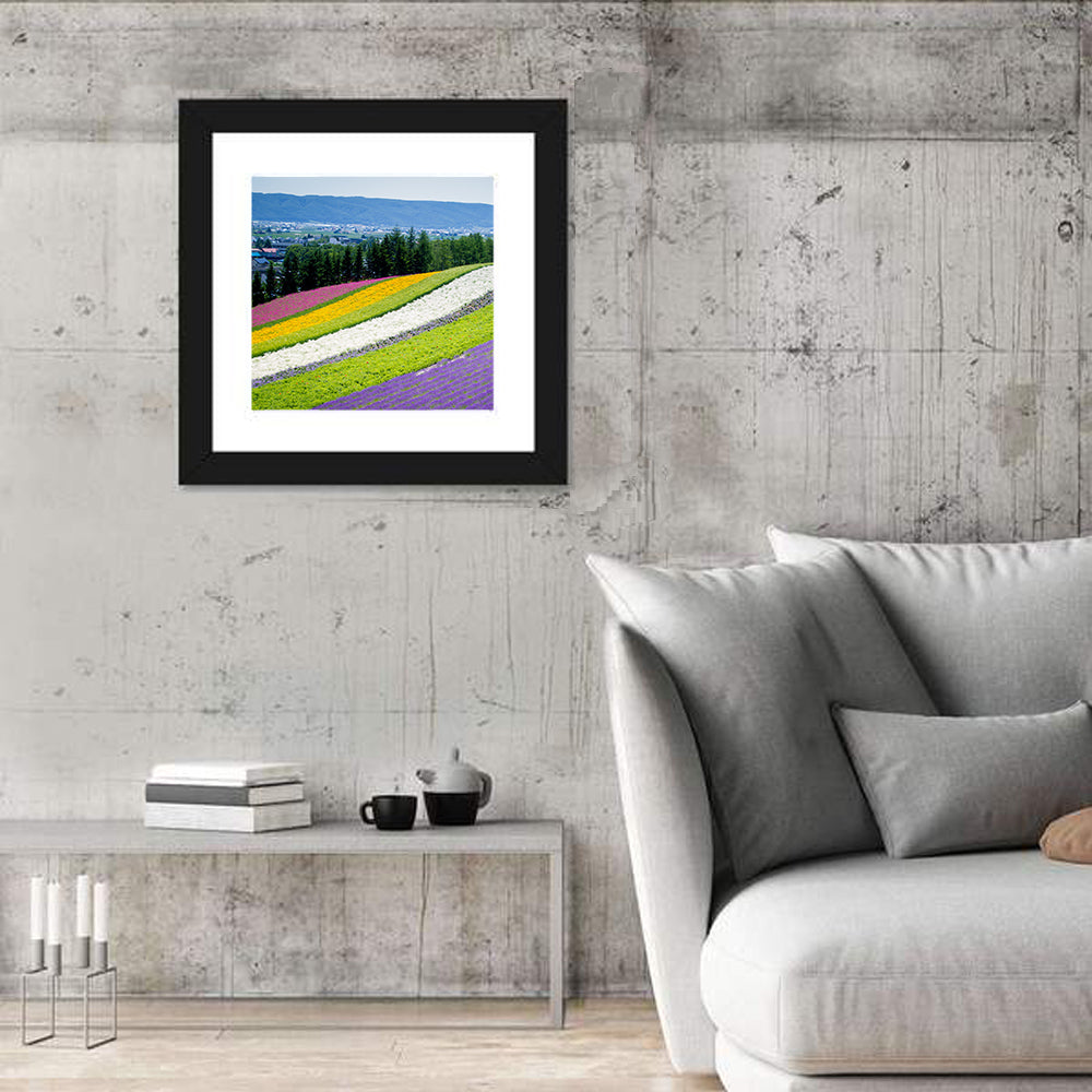 Farm Tomita Lavender Fields Wall Art