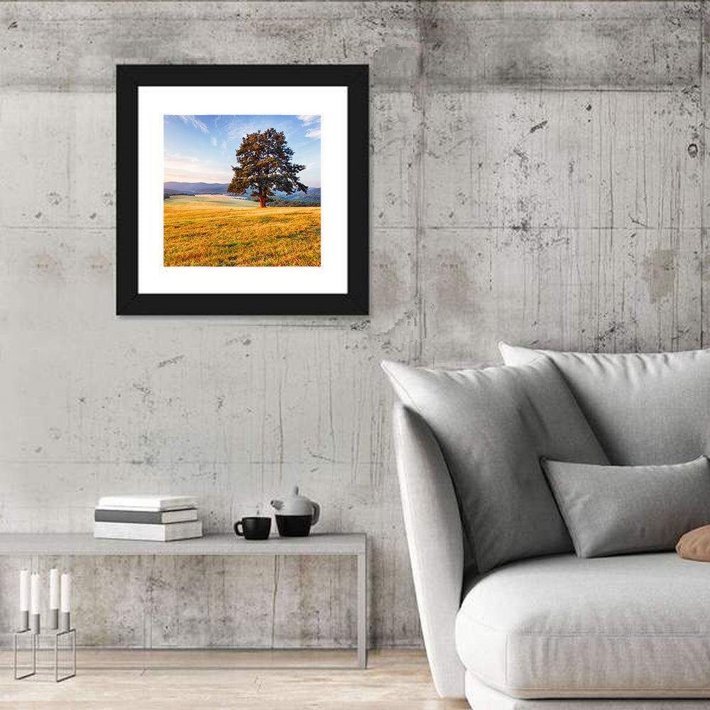 Golden Hour Meadow with Lone Tree Wall Art in a room, square