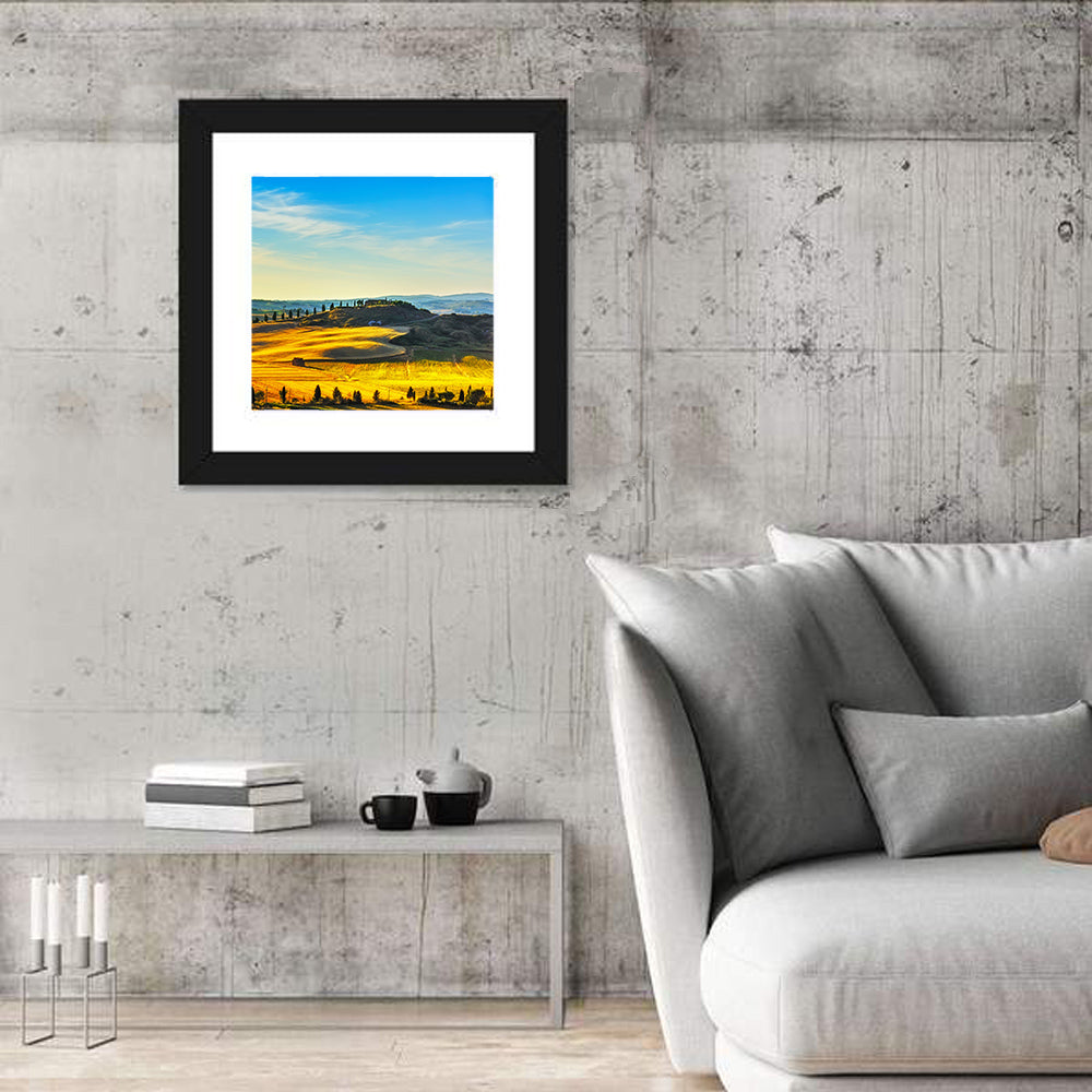 Cypress Trees Over Golden Fields Wall Art in a room, square