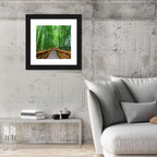 Stone Steps in Kyoto Bamboo Forest Wall Art
