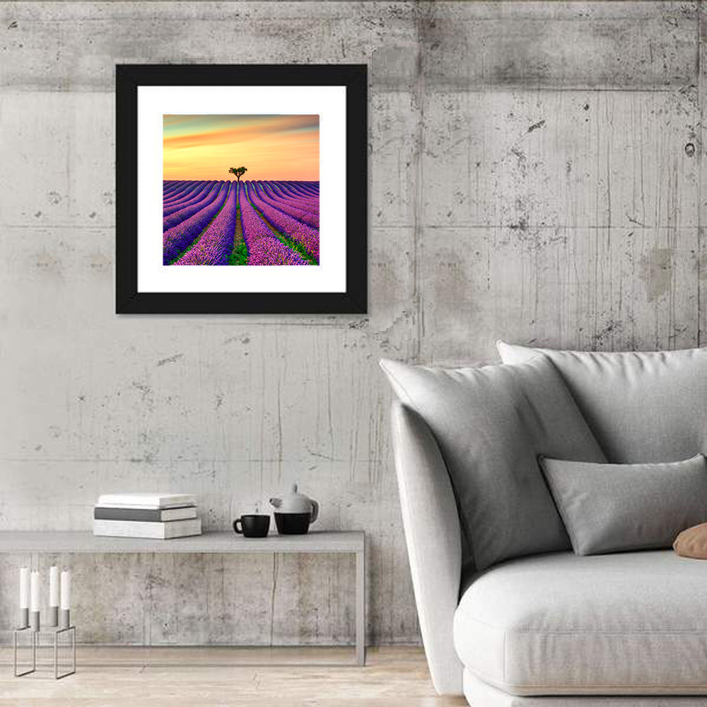Lavender Field with Solitary Tree Wall Art in a room, square