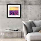 Lavender Field with Solitary Tree Wall Art