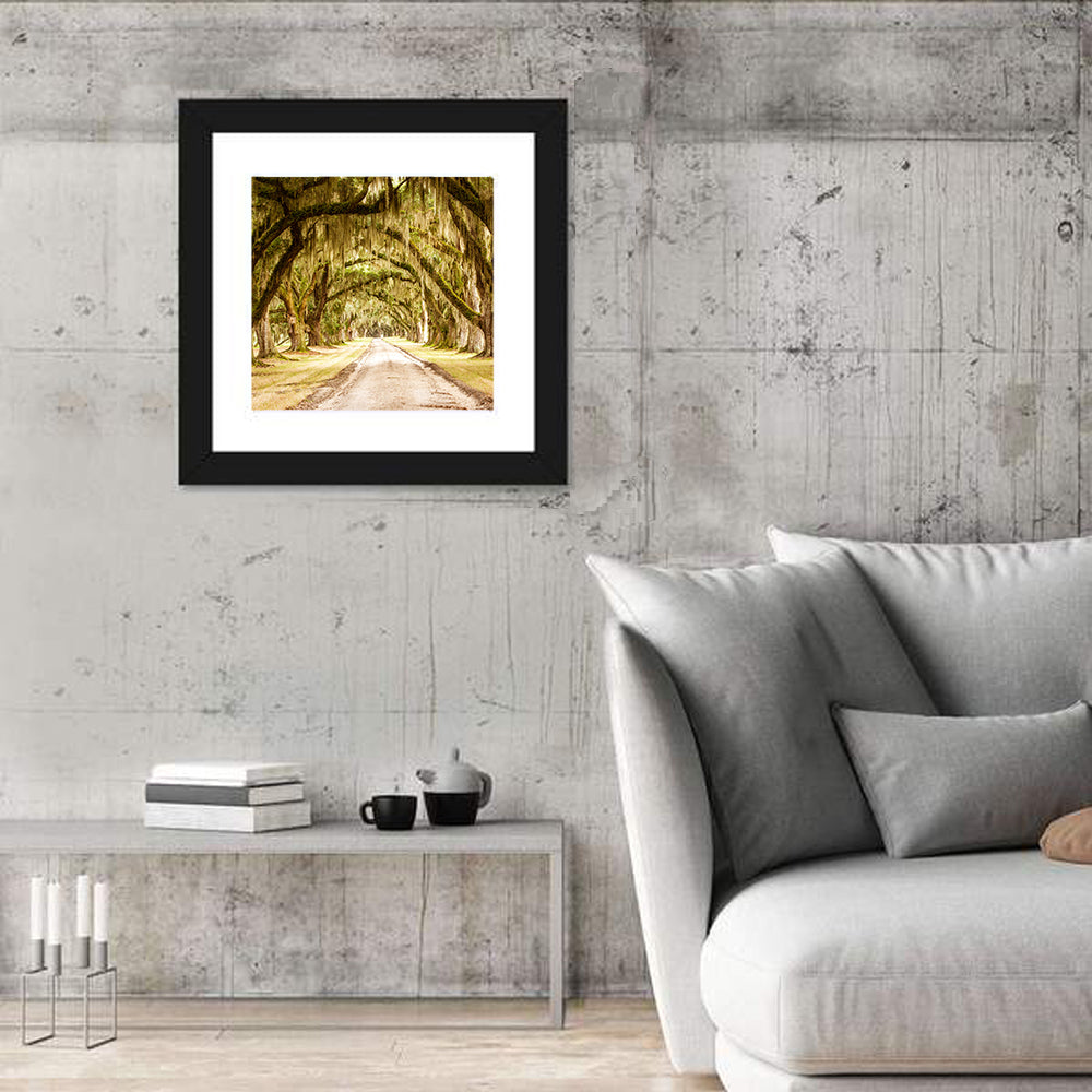 Oak Pathway Under Spanish Moss Wall Art in a room, square