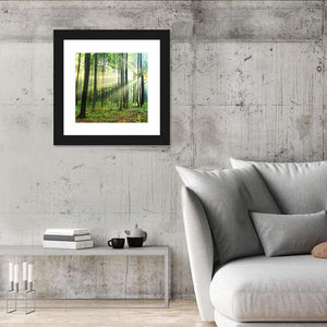 Morning In The Forest Wall Art