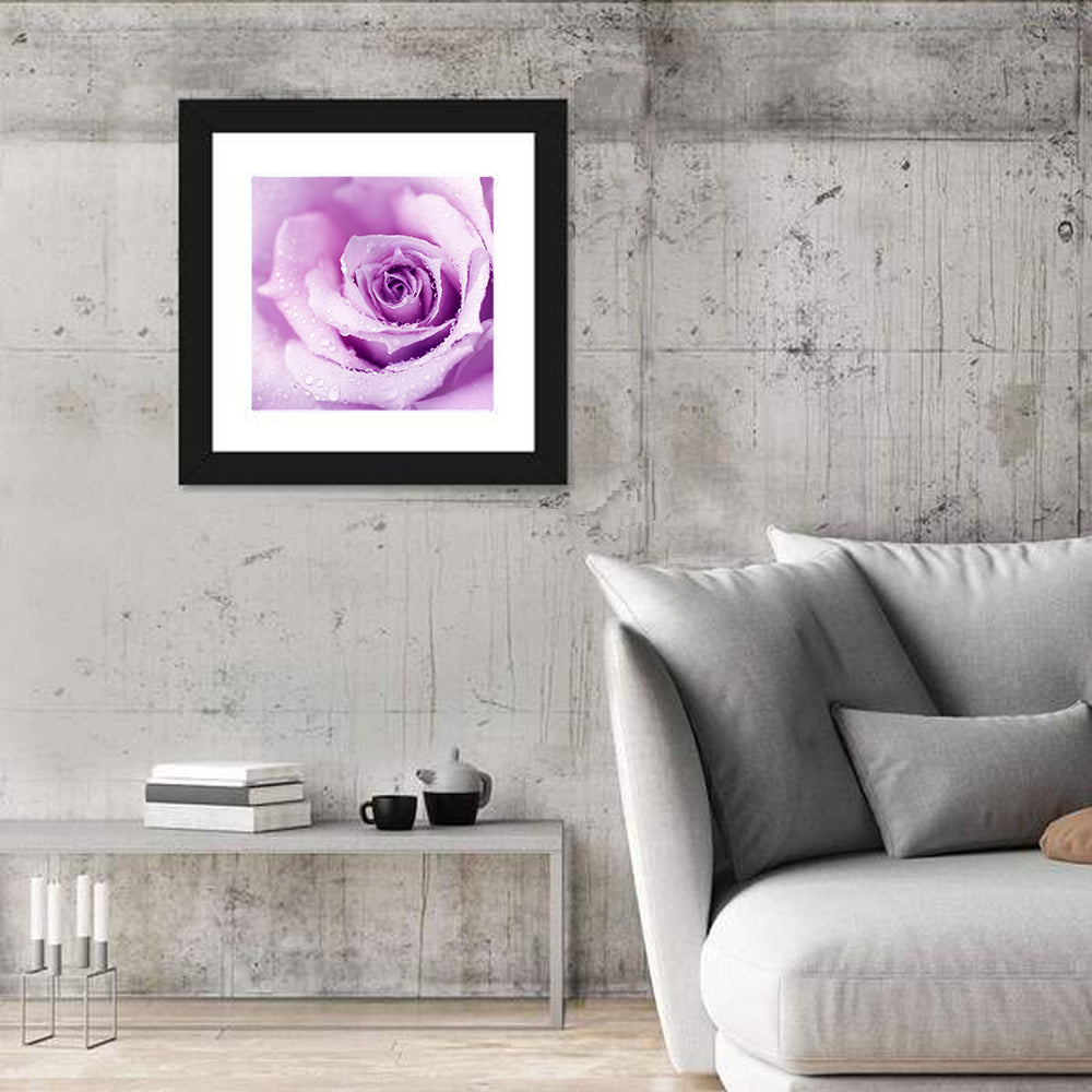 Purple Rose Close-up Wall Art in a room, square