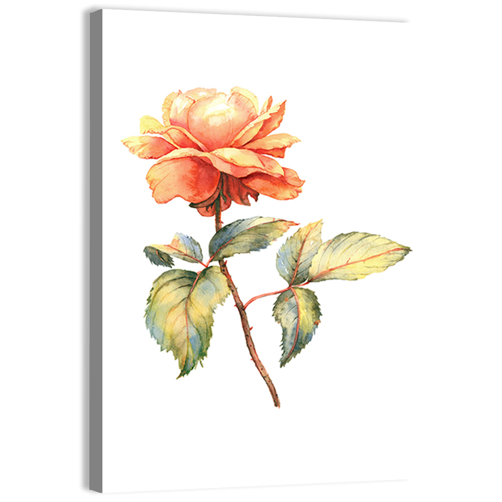 Orange Watercolor Rose Illustration Wall Art, canvas print, portrait