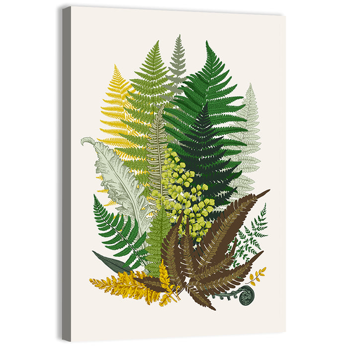 Fern Composition Wall Art as a canvas print