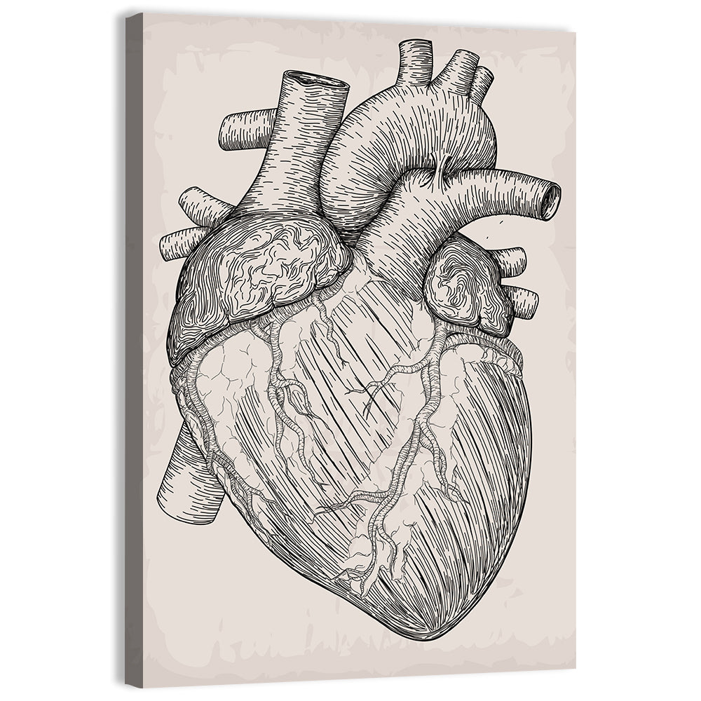 Human Heart Sketch Wall Art, canvas print, portrait