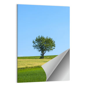 Lonely Tree At Meadow Wall Art