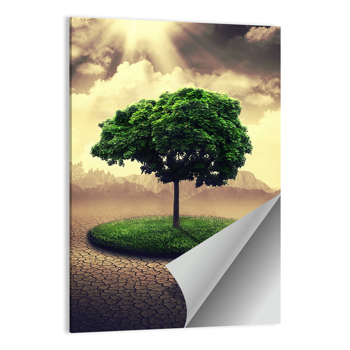 Circular Grass Oasis with Lone Tree Wall Art as a poster print