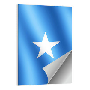 Flag Of Somalia Wall Art