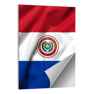 Flag Of Paraguay Wall Art