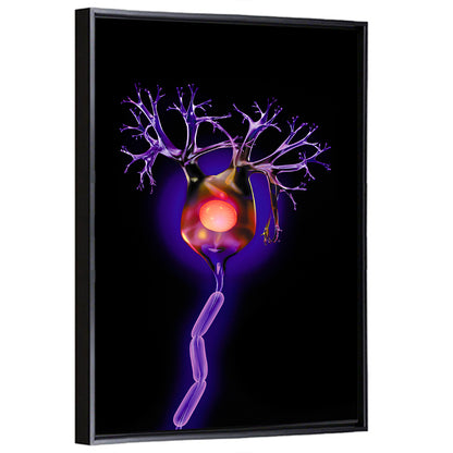 Human Neuron Cell Wall Art