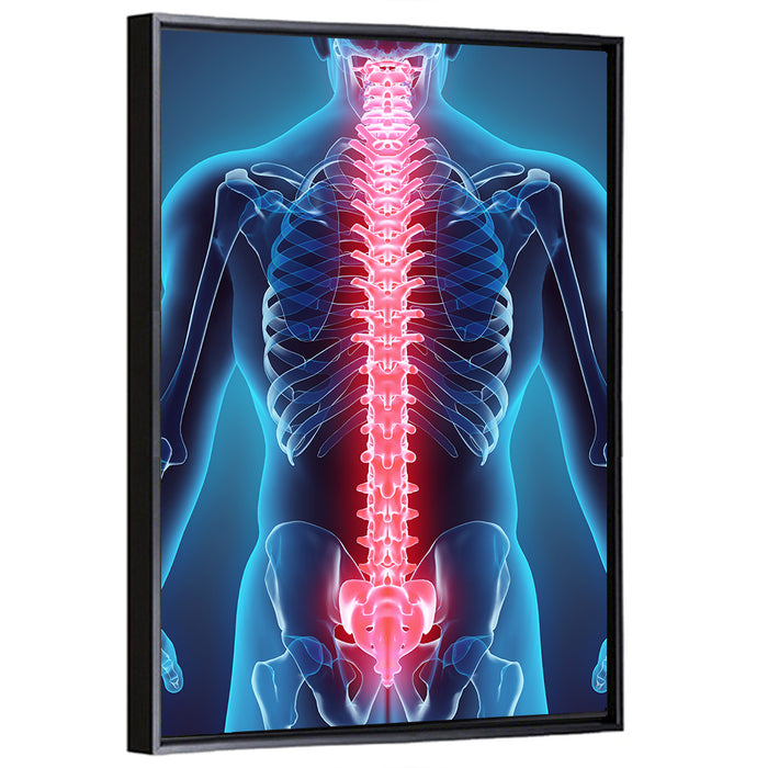 Human Spine Anatomy Illustration Wall Art as a framed canvas