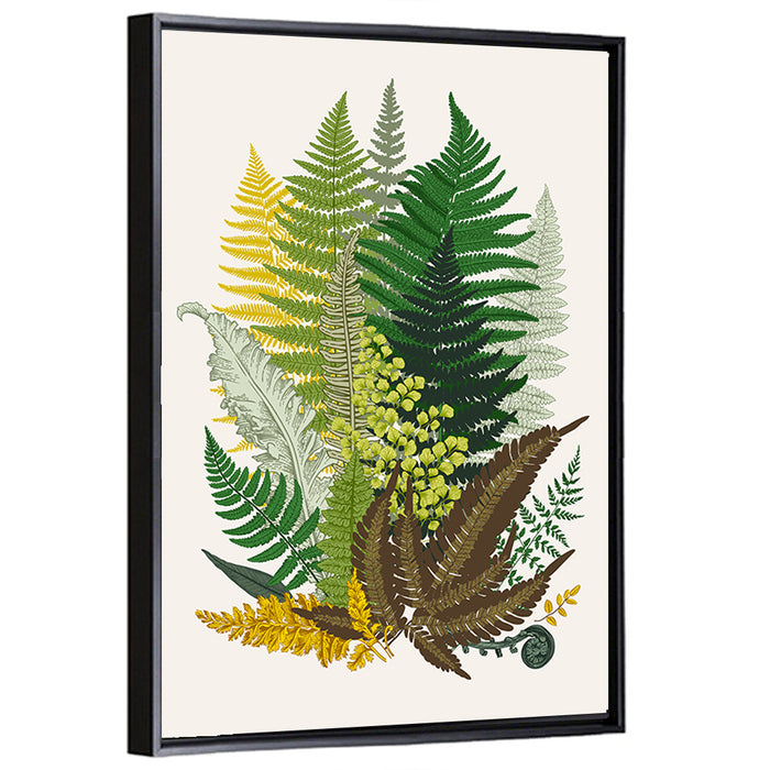 Fern Composition Wall Art as a framed canvas