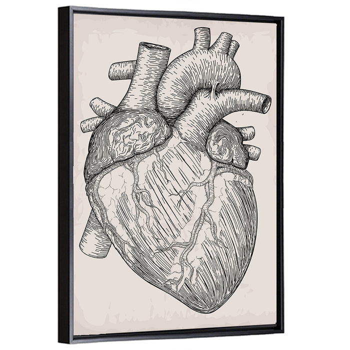 Human Heart Sketch Wall Art as a framed canvas