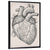 Human Heart Sketch Wall Art