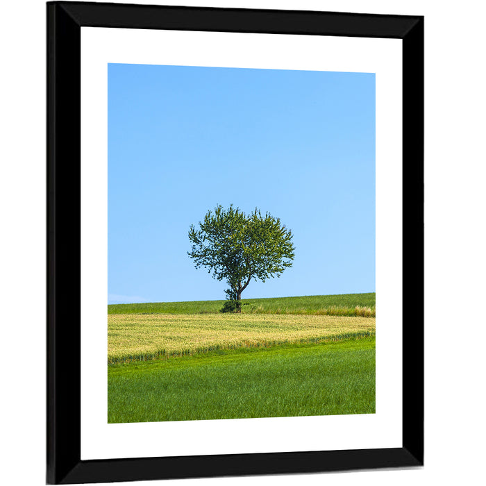 Solitary Tree on Rolling Meadow Wall Art as a framed print