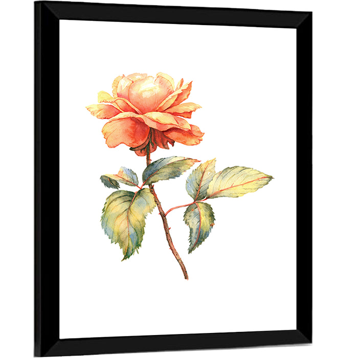 Orange Watercolor Rose Illustration Wall Art as a framed print