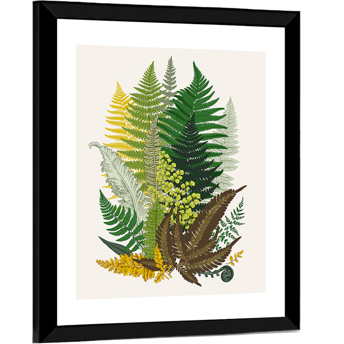Fern Composition Wall Art as a framed print