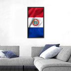 Paraguay Flag with Emblem Wall Art