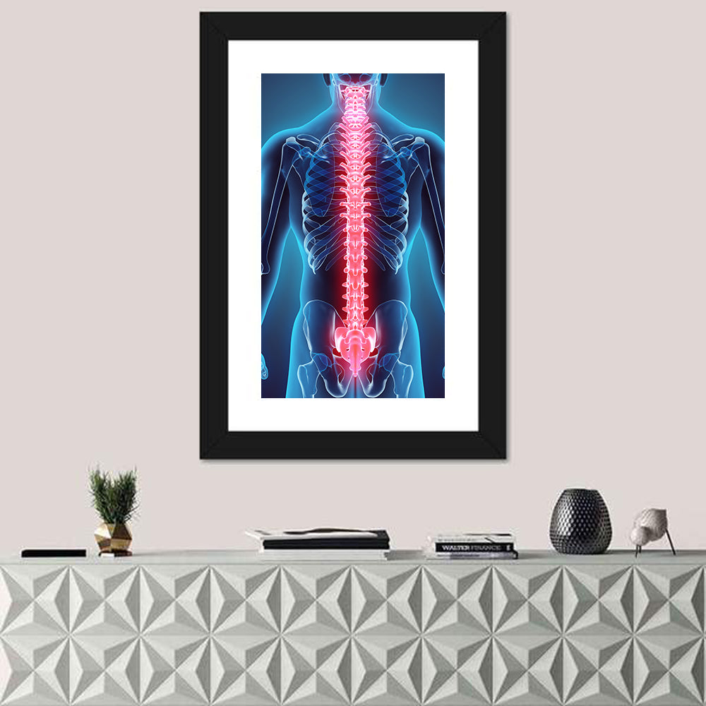 Human Spine Anatomy Illustration Wall Art in a room, portrait
