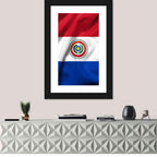 Paraguay Flag with Emblem Wall Art