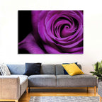 Purple Rose Close-up Wall Art