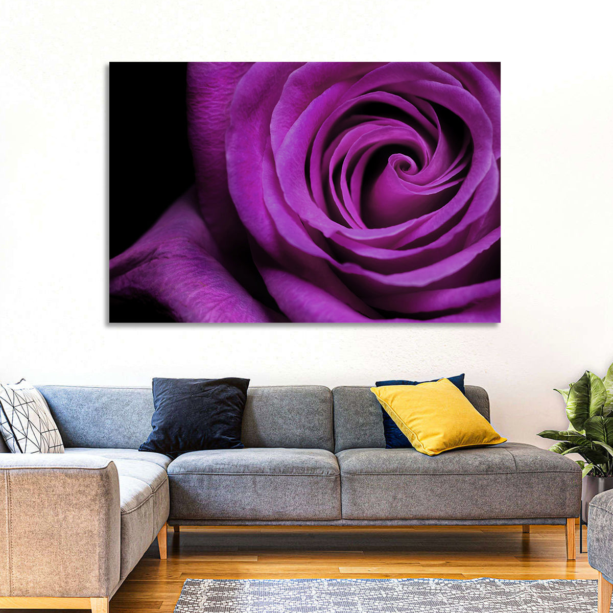 Purple Rose Close-up Wall Art