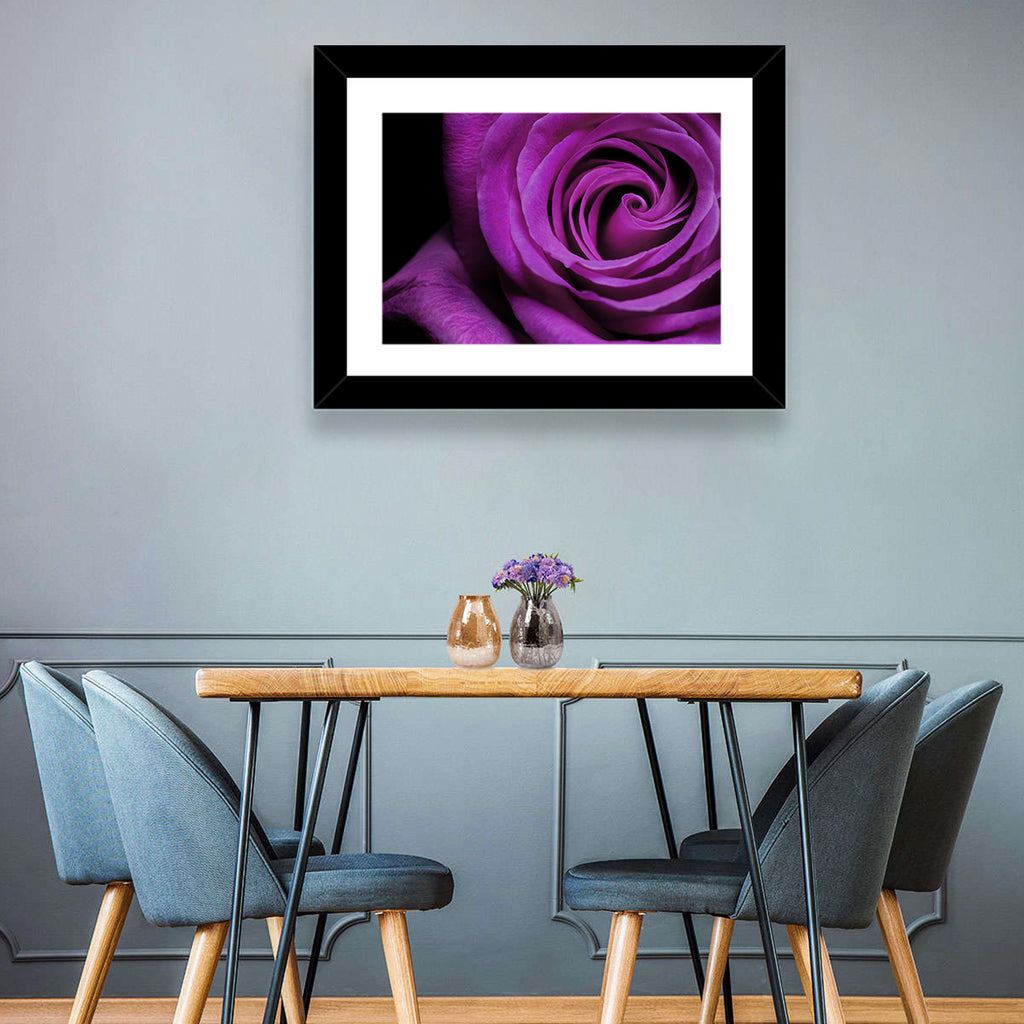 Purple Rose Close-up Wall Art