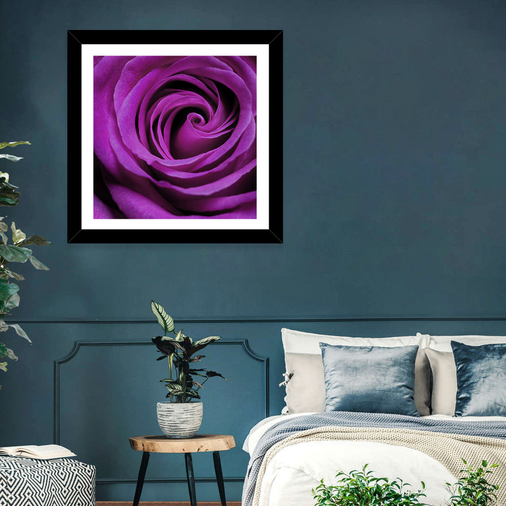 Purple Rose Close-up Wall Art