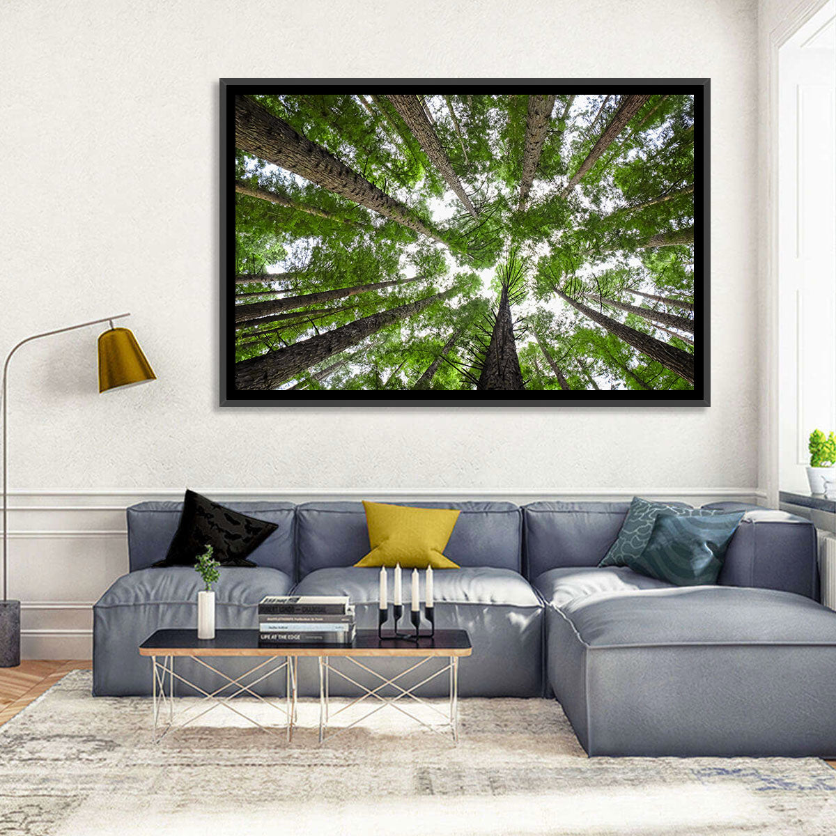 Redwood Forest Canopy Wall Art in a room, landscape