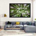 Redwood Forest Canopy Wall Art