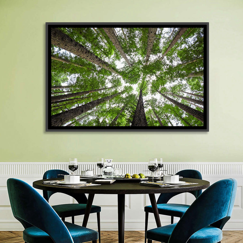 Redwood Forest Canopy Wall Art