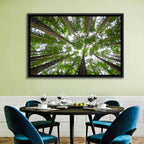 Redwood Forest Canopy Wall Art