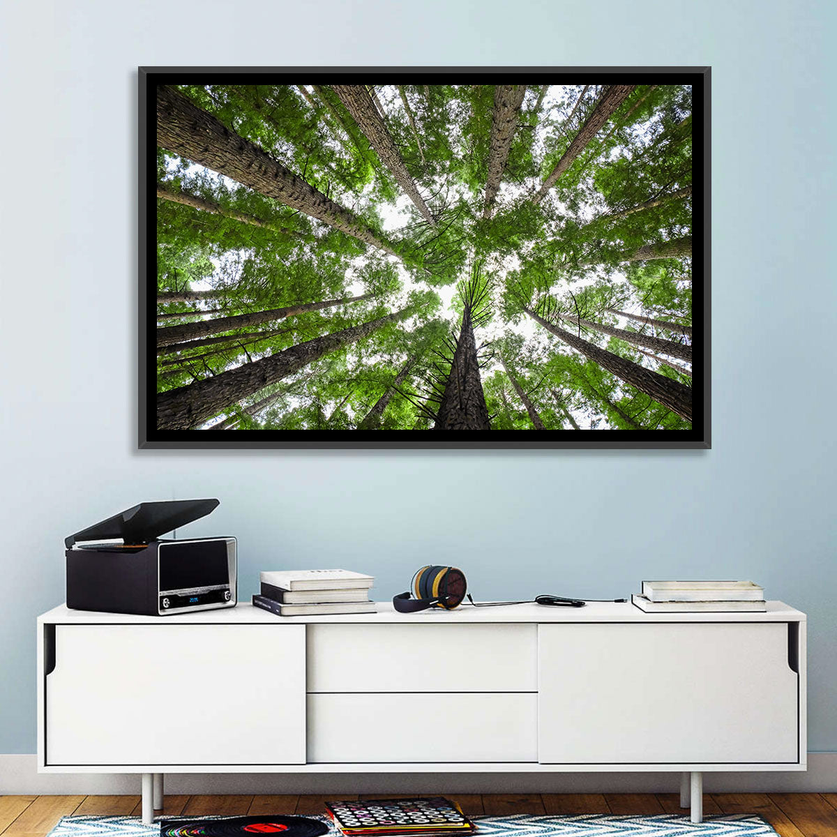 Redwood Forest Canopy Wall Art in a room, landscape