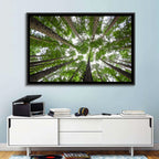 Redwood Forest Canopy Wall Art