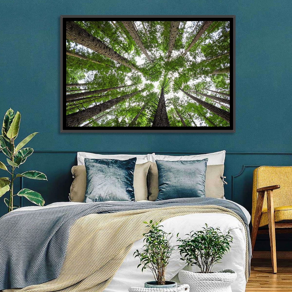 Redwood Forest Canopy Wall Art in a room, landscape