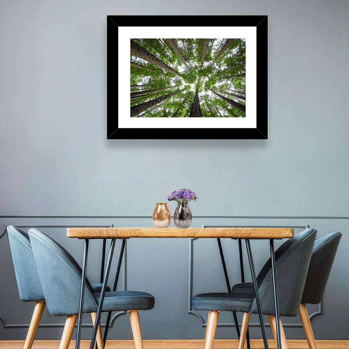 Redwood Forest Canopy Wall Art in a room, landscape