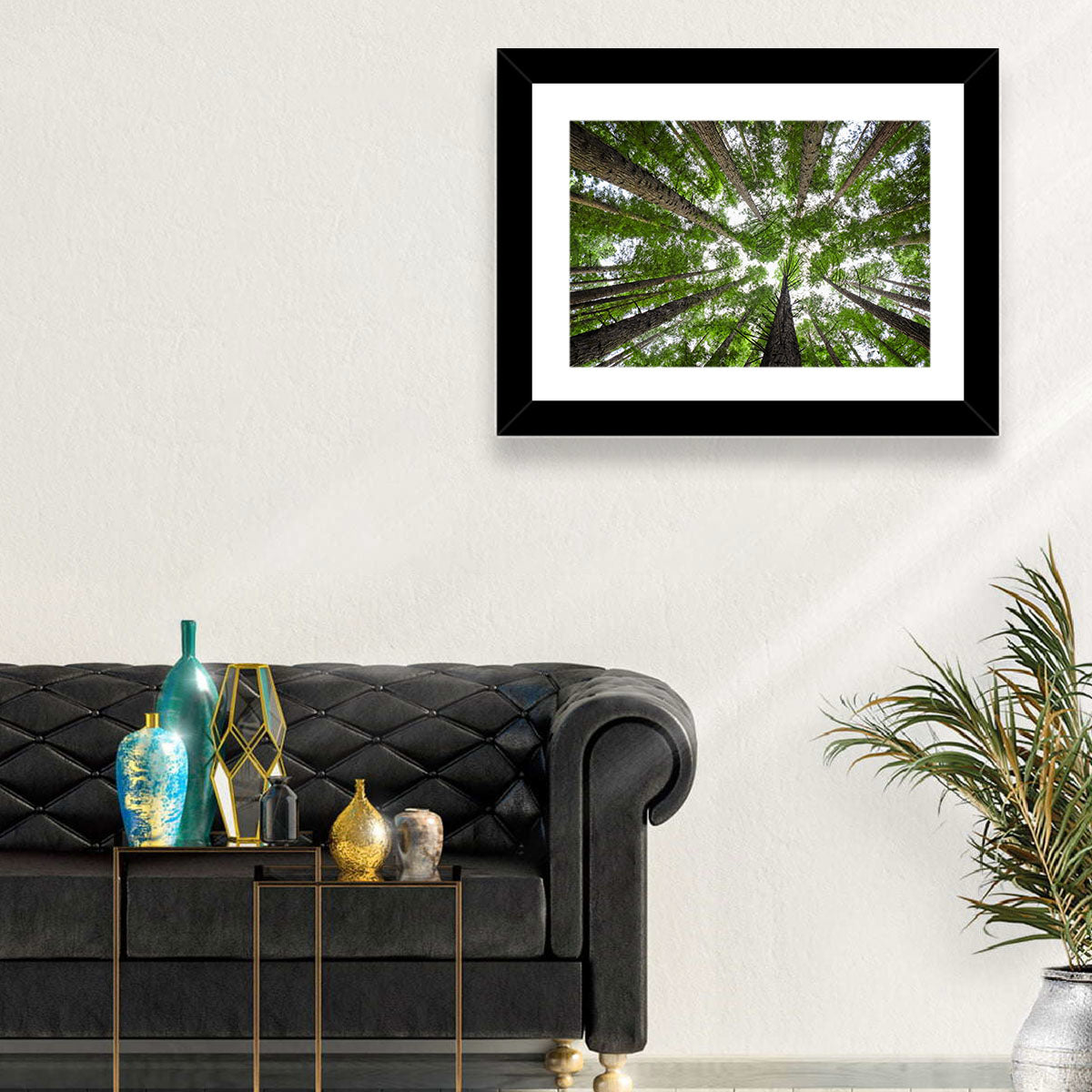 Redwood Forest Canopy Wall Art in a room, landscape