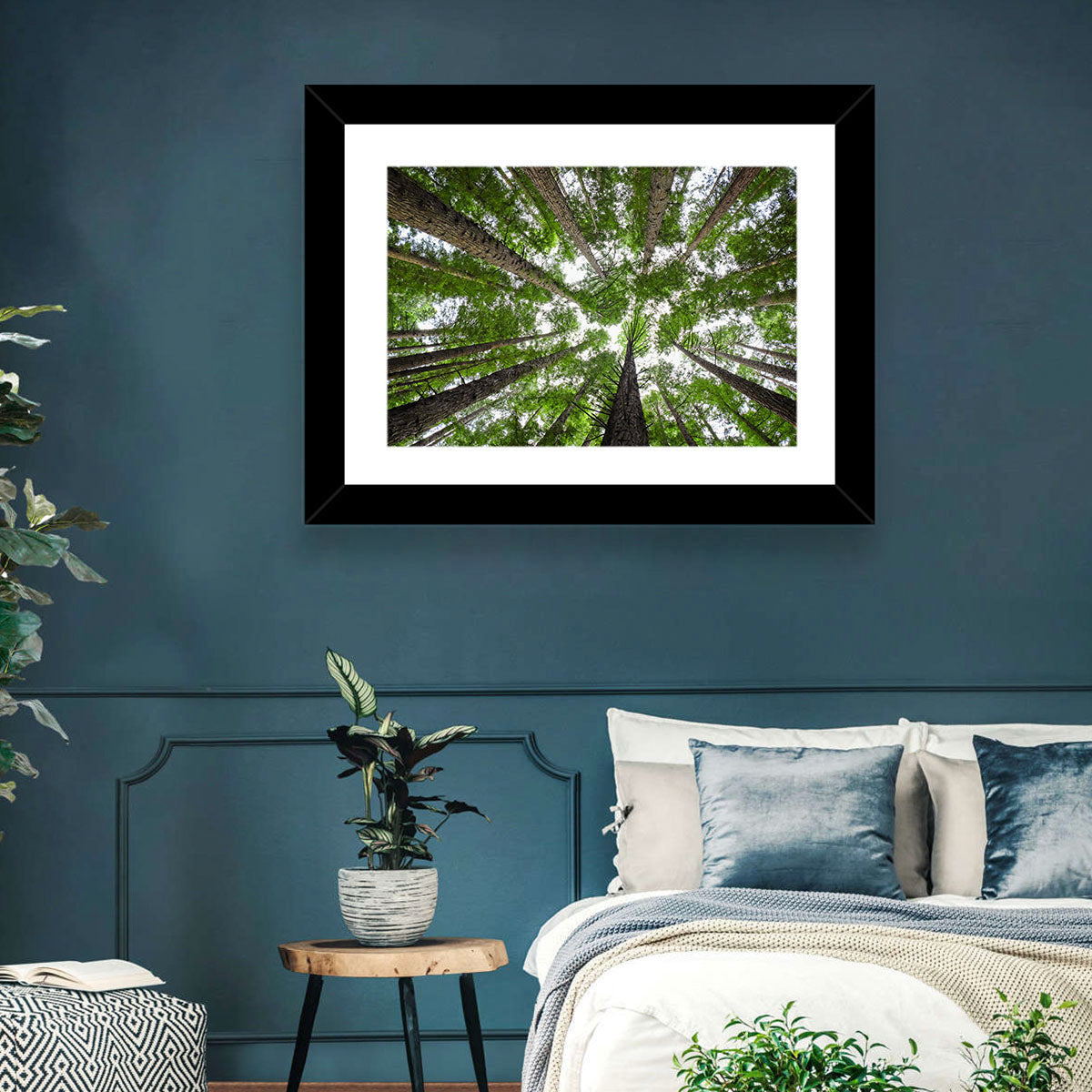 Redwood Forest Canopy Wall Art in a room, landscape