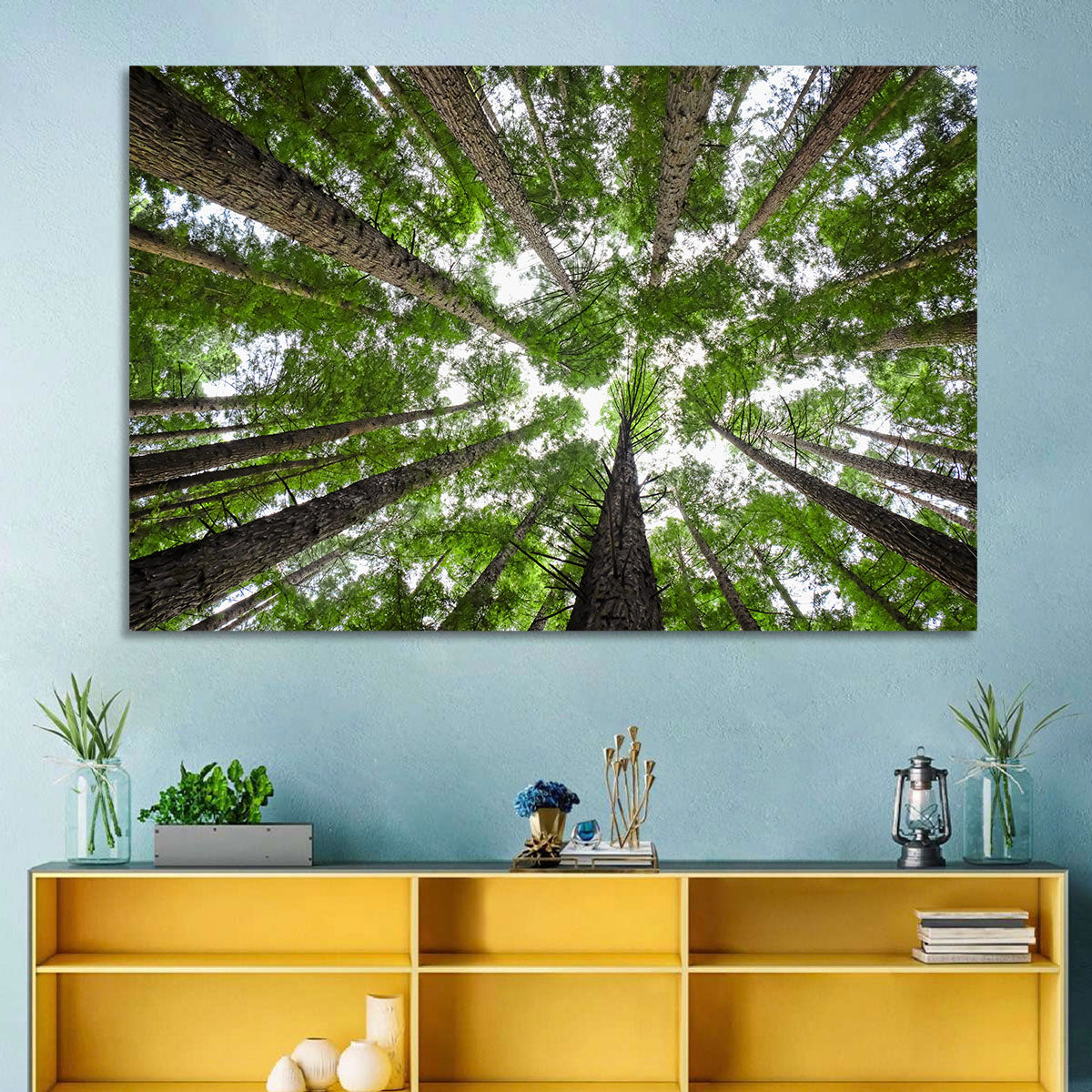 Redwood Forest Canopy Wall Art in a room, landscape