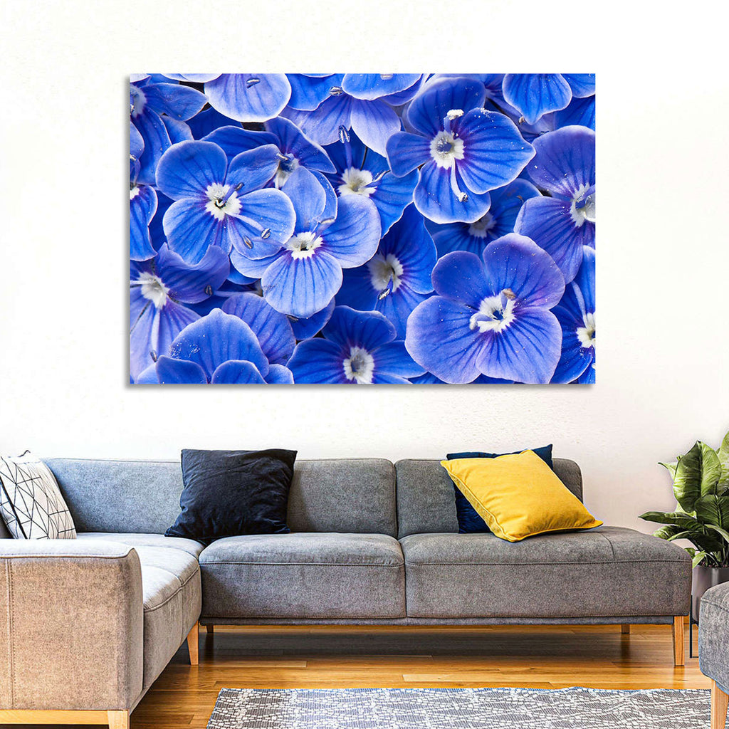 Blue Wildflower Close-up Wall Art