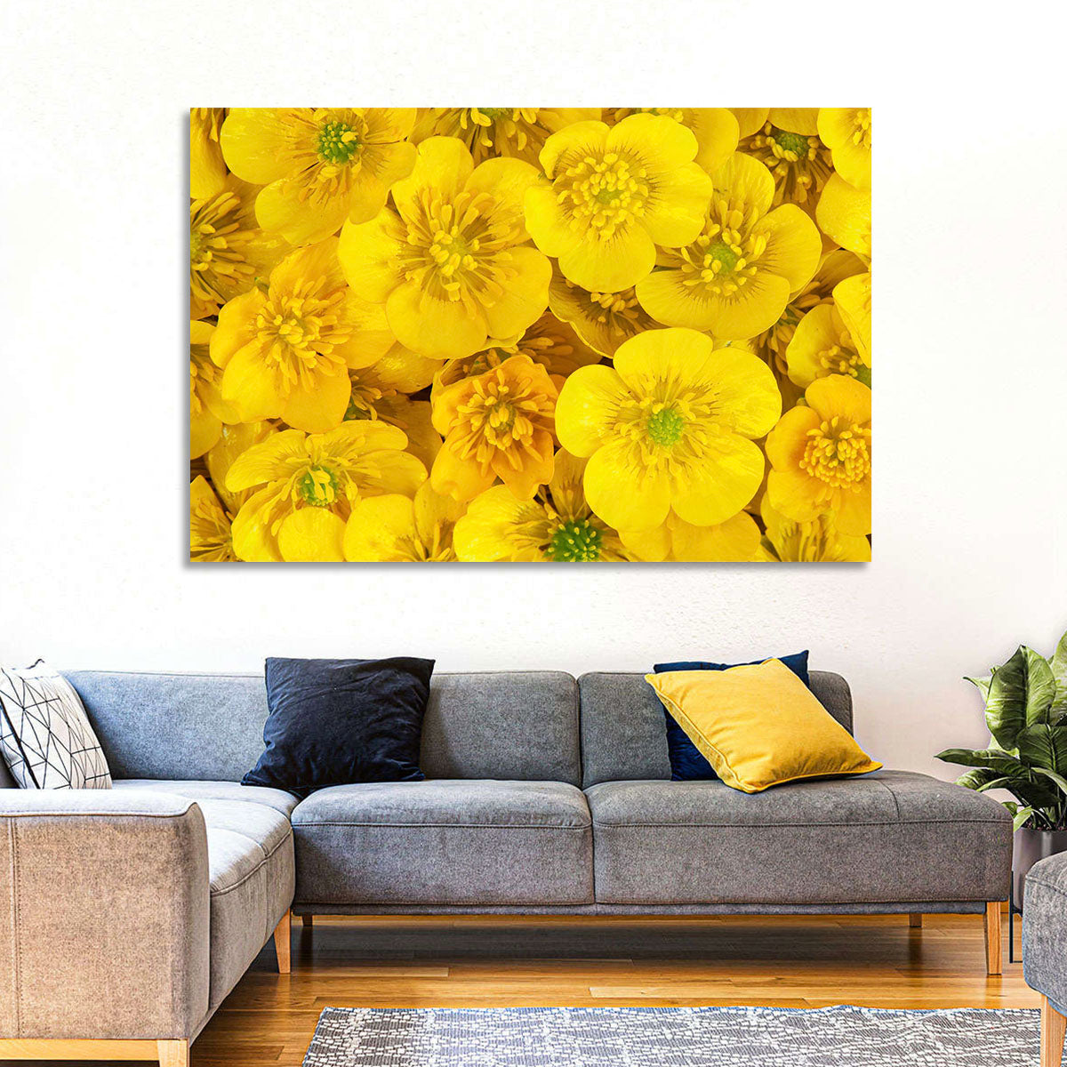 Yellow Buttercup Close-up Wall Art