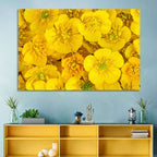 Yellow Buttercup Close-up Wall Art