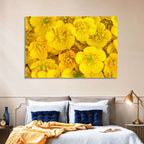 Yellow Buttercup Close-up Wall Art
