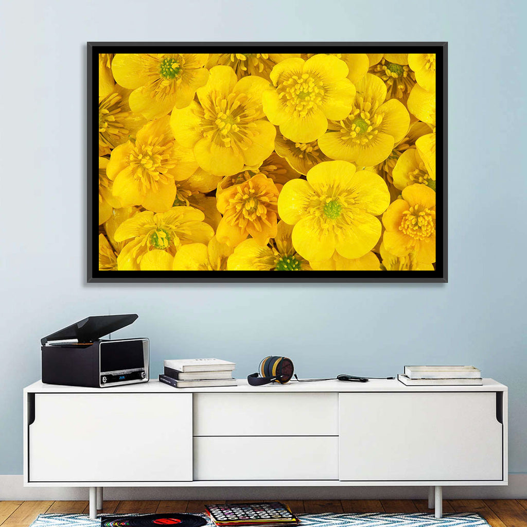 Yellow Buttercup Close-up Wall Art