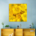 Yellow Buttercup Close-up Wall Art