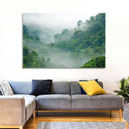 Misty Rainforest Morning Wall Art