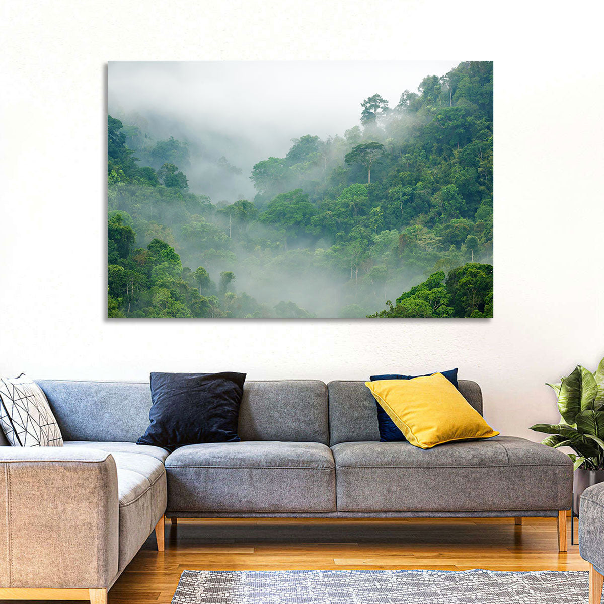 Misty Rainforest Morning Wall Art